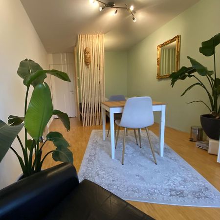 Gebenstorf Limmatspitz 아파트 외부 사진