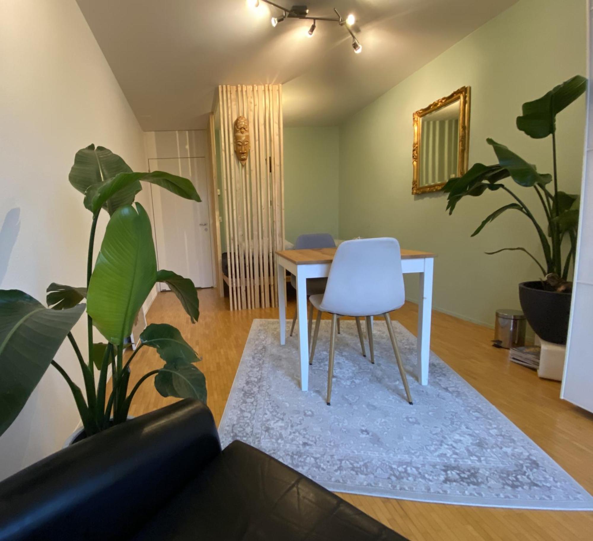 Gebenstorf Limmatspitz 아파트 외부 사진